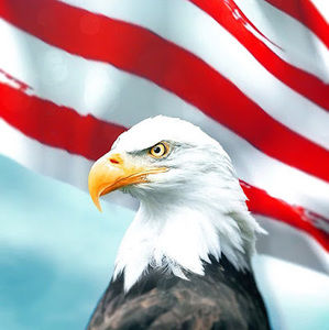 Meet your Posher, Bobby